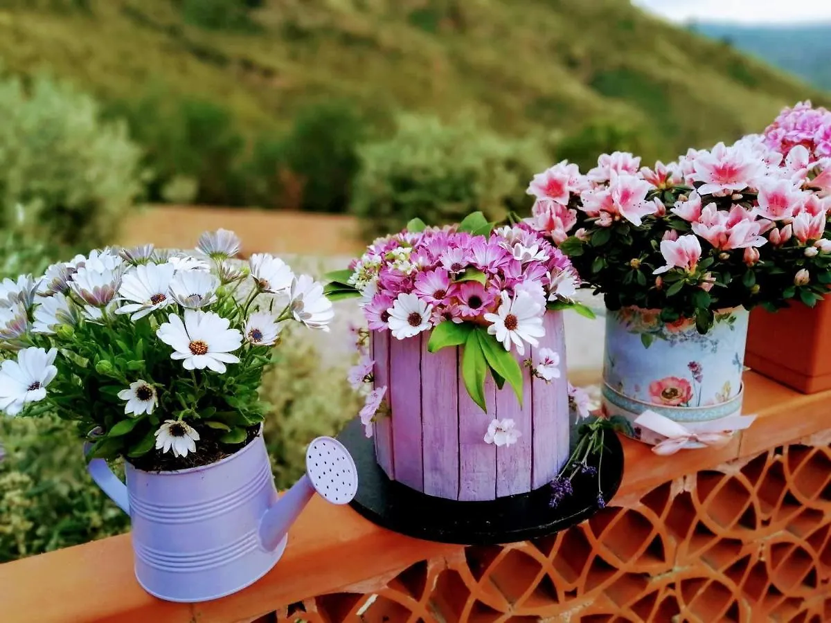 Villa Verde Чефалу 0*,  Италия